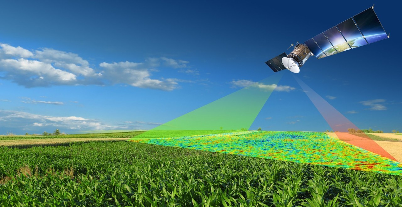 Agricultural Monitoring and Food Security